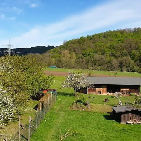 Appartement Oma Lina Haus - 4 Sz 2 Baeder Grosser Garten Und Infrarot-sauna Greifenstein