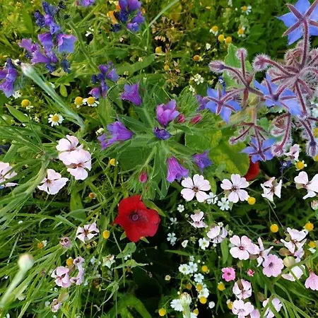 Apartment Oma Lina Haus - 4 Sz 2 Baeder Grosser Garten Und Infrarot-sauna Greifenstein