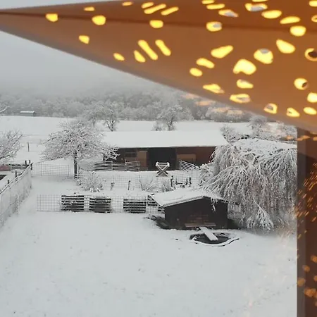 Oma Lina Haus - 4 Sz 2 Baeder Grosser Garten Und Infrarot-sauna * Greifenstein