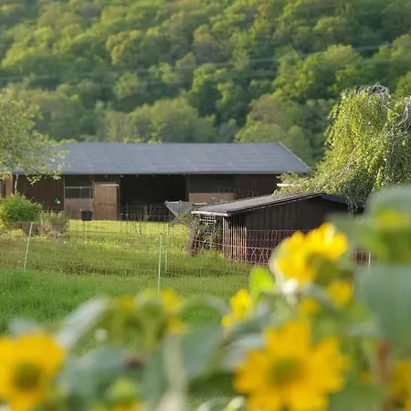 Oma Lina Haus - 4 Sz 2 Baeder Grosser Garten Und Infrarot-sauna Lejlighed *