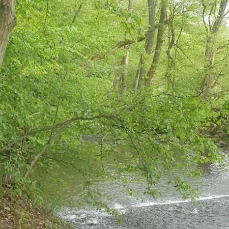 Oma Lina Haus - 4 Sz 2 Baeder Grosser Garten Und Infrarot-sauna *