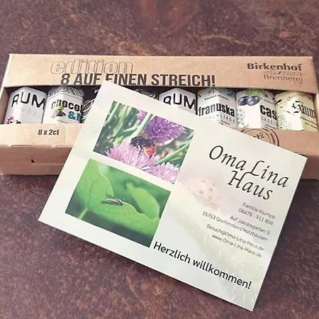 Oma Lina Haus - 4 Sz 2 Baeder Grosser Garten Und Infrarot-sauna