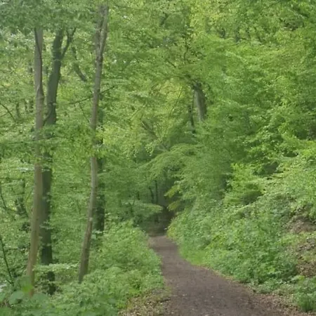 Oma Lina Haus - 4 Sz 2 Baeder Grosser Garten Und Infrarot-sauna Appartement Greifenstein