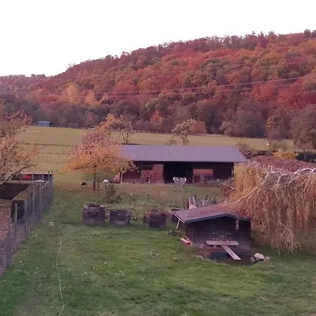 Oma Lina Haus - 4 Sz 2 Baeder Grosser Garten Und Infrarot-sauna Apartamento *