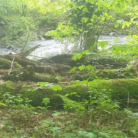 Oma Lina Haus - 4 Sz 2 Baeder Grosser Garten Und Infrarot-sauna * Greifenstein