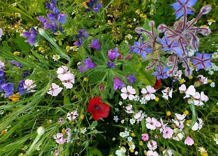 Apartment Oma Lina Haus - 4 Sz 2 Baeder Grosser Garten Und Infrarot-sauna Greifenstein