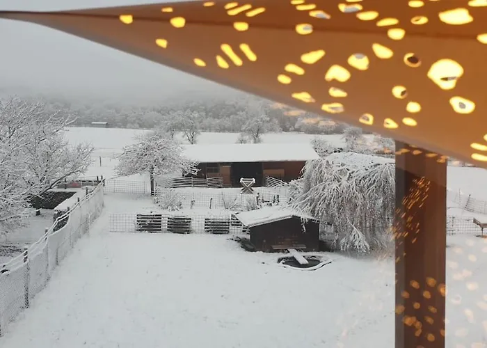 Oma Lina Haus - 4 Sz 2 Baeder Grosser Garten Und Infrarot-sauna * Greifenstein