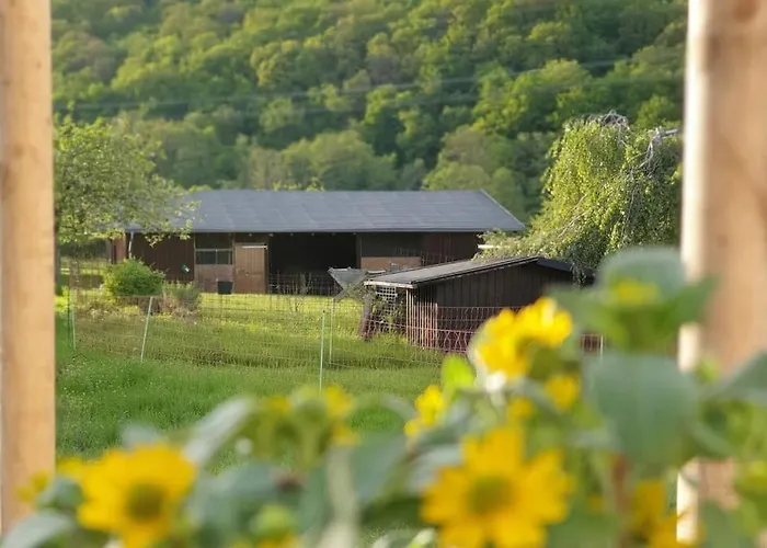 Oma Lina Haus - 4 Sz 2 Baeder Grosser Garten Und Infrarot-sauna Apartment *