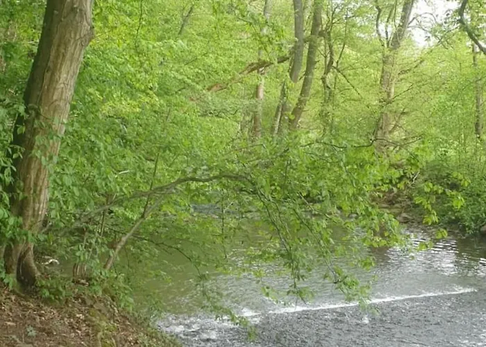 Oma Lina Haus - 4 Sz 2 Baeder Grosser Garten Und Infrarot-sauna *