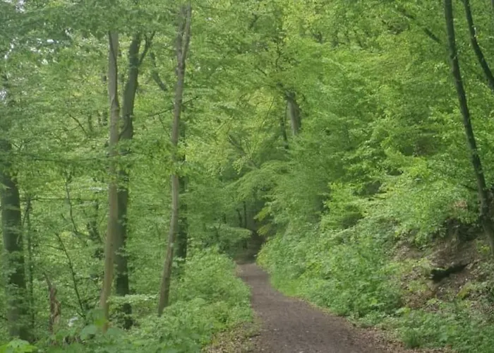 Oma Lina Haus - 4 Sz 2 Baeder Grosser Garten Und Infrarot-sauna アパート Greifenstein