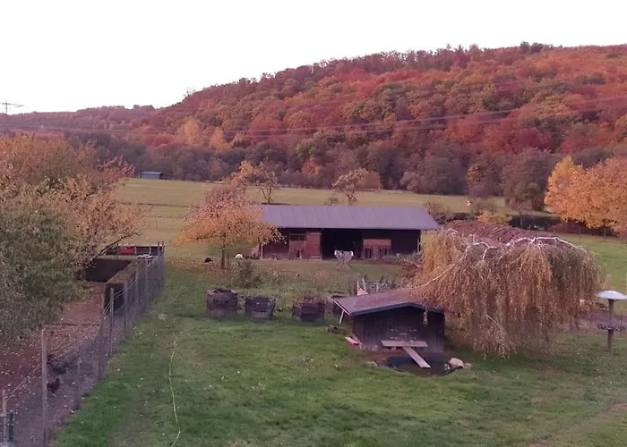 Oma Lina Haus - 4 Sz 2 Baeder Grosser Garten Und Infrarot-sauna アパート *