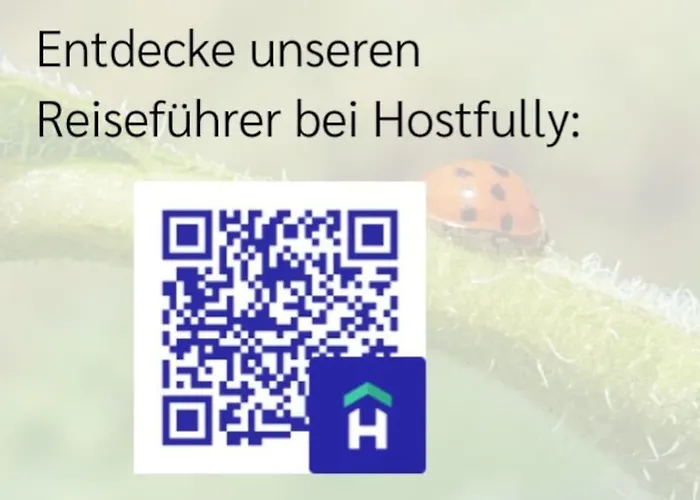 Oma Lina Haus - 4 Sz 2 Baeder Grosser Garten Und Infrarot-sauna