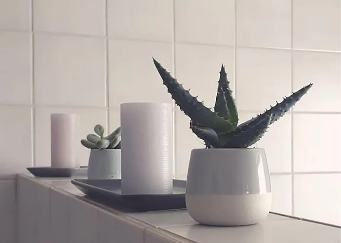 Apartment Oma Lina Haus - 4 Sz 2 Baeder Grosser Garten Und Infrarot-sauna