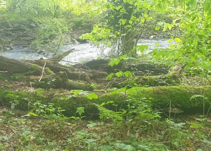 Oma Lina Haus - 4 Sz 2 Baeder Grosser Garten Und Infrarot-sauna * Greifenstein